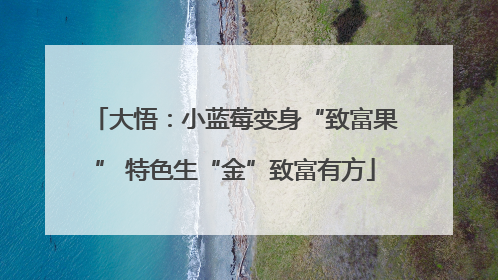 大悟：小蓝莓变身“致富果” 特色生“金”致富有方
