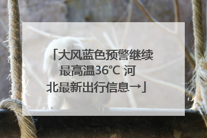 大风蓝色预警继续 最高温36℃ 河北最新出行信息→