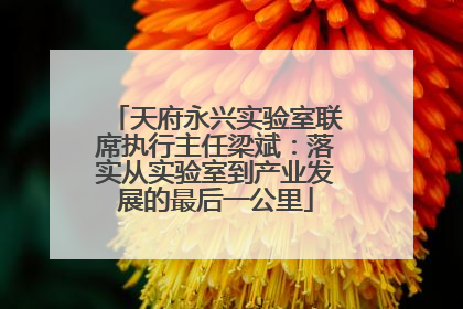 天府永兴实验室联席执行主任梁斌：落实从实验室到产业发展的最后一公里