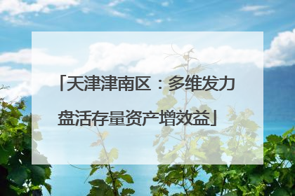 天津津南区：多维发力盘活存量资产增效益