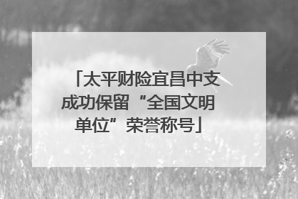 太平财险宜昌中支成功保留“全国文明单位”荣誉称号