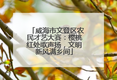 威海市文登区农民才艺大赛：樱桃红处歌声扬，文明新风满乡间