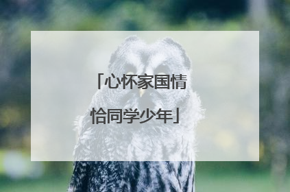 心怀家国情 恰同学少年