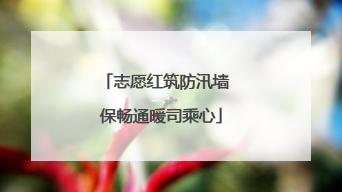 志愿红筑防汛墙 保畅通暖司乘心