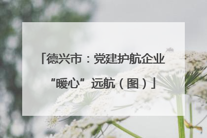 德兴市：党建护航企业“暖心”远航（图）