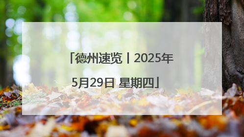 德州速览丨2025年5月29日 星期四