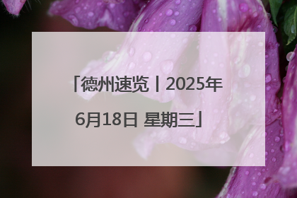 德州速览丨2025年6月18日 星期三