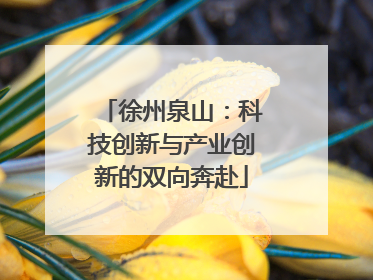 徐州泉山：科技创新与产业创新的双向奔赴