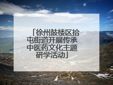 徐州鼓楼区拾屯街道开展传承中医药文化主题研学活动