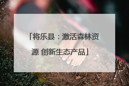 将乐县：激活森林资源 创新生态产品