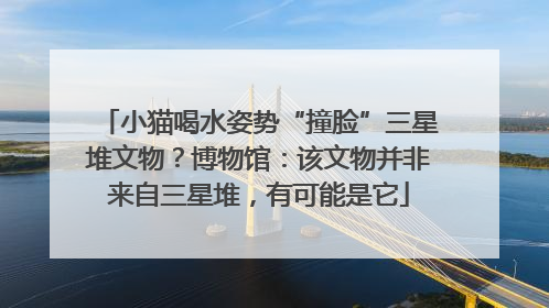 小猫喝水姿势“撞脸”三星堆文物？博物馆：该文物并非来自三星堆，有可能是它