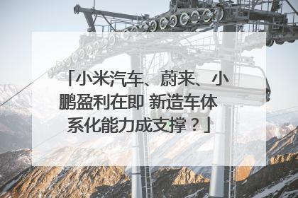 小米汽车、蔚来、小鹏盈利在即 新造车体系化能力成支撑？