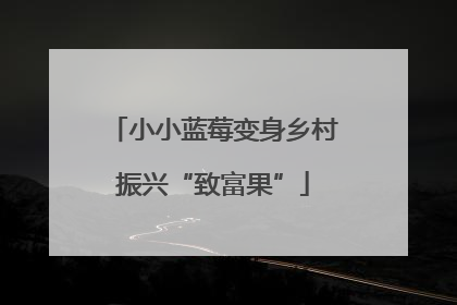 小小蓝莓变身乡村振兴“致富果”