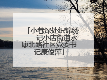 小巷深处织锦绣——记小店街道永康北路社区党委书记康俊萍