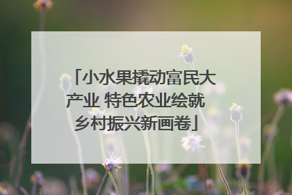 小水果撬动富民大产业 特色农业绘就乡村振兴新画卷