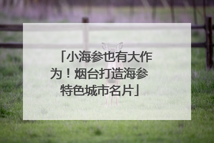 小海参也有大作为！烟台打造海参特色城市名片