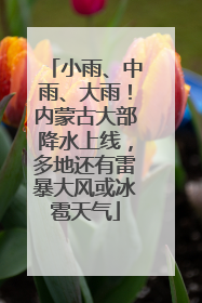 小雨、中雨、大雨！内蒙古大部降水上线，多地还有雷暴大风或冰雹天气