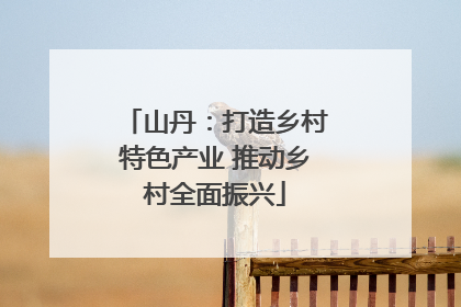 山丹：打造乡村特色产业 推动乡村全面振兴