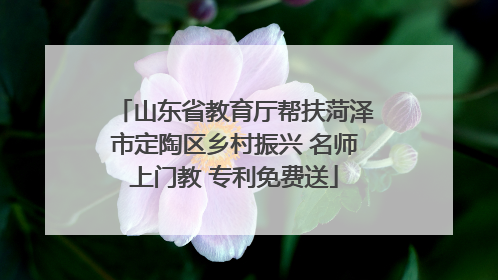 山东省教育厅帮扶菏泽市定陶区乡村振兴 名师上门教 专利免费送