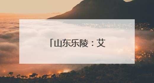 山东乐陵：艾草飘香销售忙