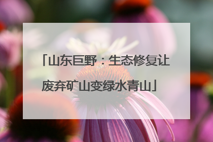 山东巨野：生态修复让废弃矿山变绿水青山