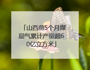山西前5个月煤层气累计产量超60亿立方米