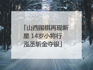 山西围棋再现新星 14岁小将行泓丞斩金夺银