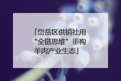 岱岳区供销社用“全链思维”重构羊肉产业生态