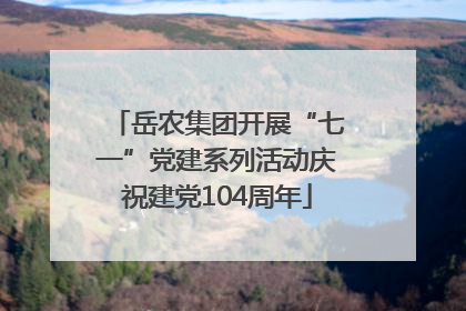 岳农集团开展“七一”党建系列活动庆祝建党104周年