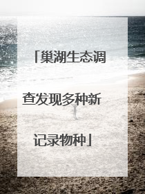 巢湖生态调查发现多种新记录物种