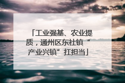 工业强基、农业提质，通州区东社镇“产业兴镇”扛担当