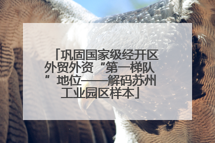 巩固国家级经开区外贸外资“第一梯队”地位——解码苏州工业园区样本