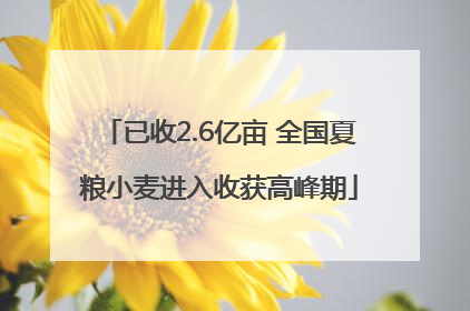 已收2.6亿亩 全国夏粮小麦进入收获高峰期