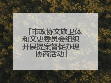 市政协文旅卫体和文史委员会组织开展提案督促办理协商活动