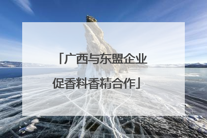 广西与东盟企业促香料香精合作
