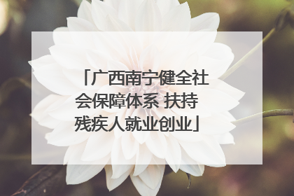 广西南宁健全社会保障体系 扶持残疾人就业创业