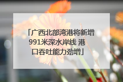 广西北部湾港将新增991米深水岸线 港口吞吐能力劲增