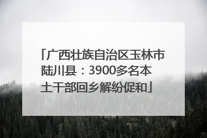 广西壮族自治区玉林市陆川县：3900多名本土干部回乡解纷促和