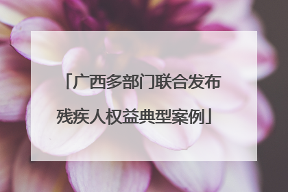 广西多部门联合发布残疾人权益典型案例