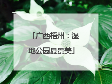 广西梧州：湿地公园夏景美
