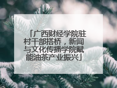 广西财经学院驻村干部搭桥，新闻与文化传播学院赋能油茶产业振兴
