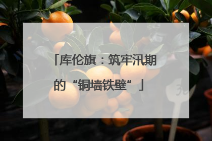 库伦旗：筑牢汛期的“铜墙铁壁”