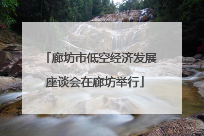 廊坊市低空经济发展座谈会在廊坊举行