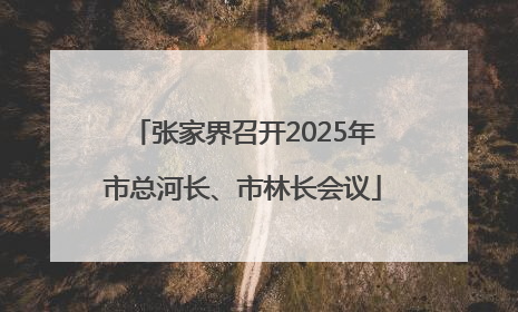 张家界召开2025年市总河长、市林长会议