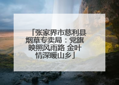 张家界市慈利县烟草专卖局：党旗映照风雨路 金叶情深暖山乡