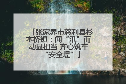 张家界市慈利县杉木桥镇：闻“汛”而动显担当 齐心筑牢“安全堤”