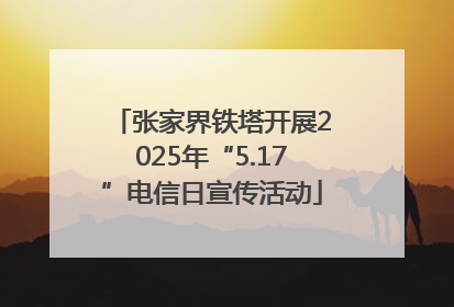 张家界铁塔开展2025年“5.17”电信日宣传活动