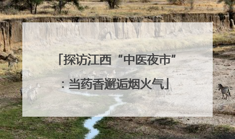 探访江西“中医夜市”：当药香邂逅烟火气