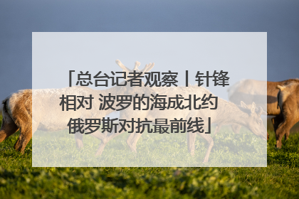 总台记者观察丨针锋相对 波罗的海成北约俄罗斯对抗最前线