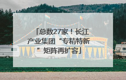 总数27家！长江产业集团“专精特新”矩阵再扩容